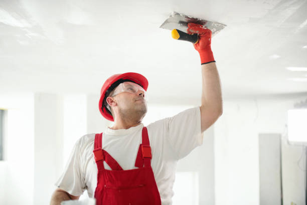 Best Ceiling Drywall Installation  in Mayflower Village, CA